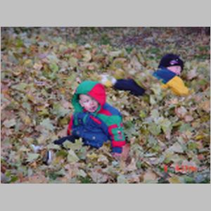 Danny in leaves 2.JPG